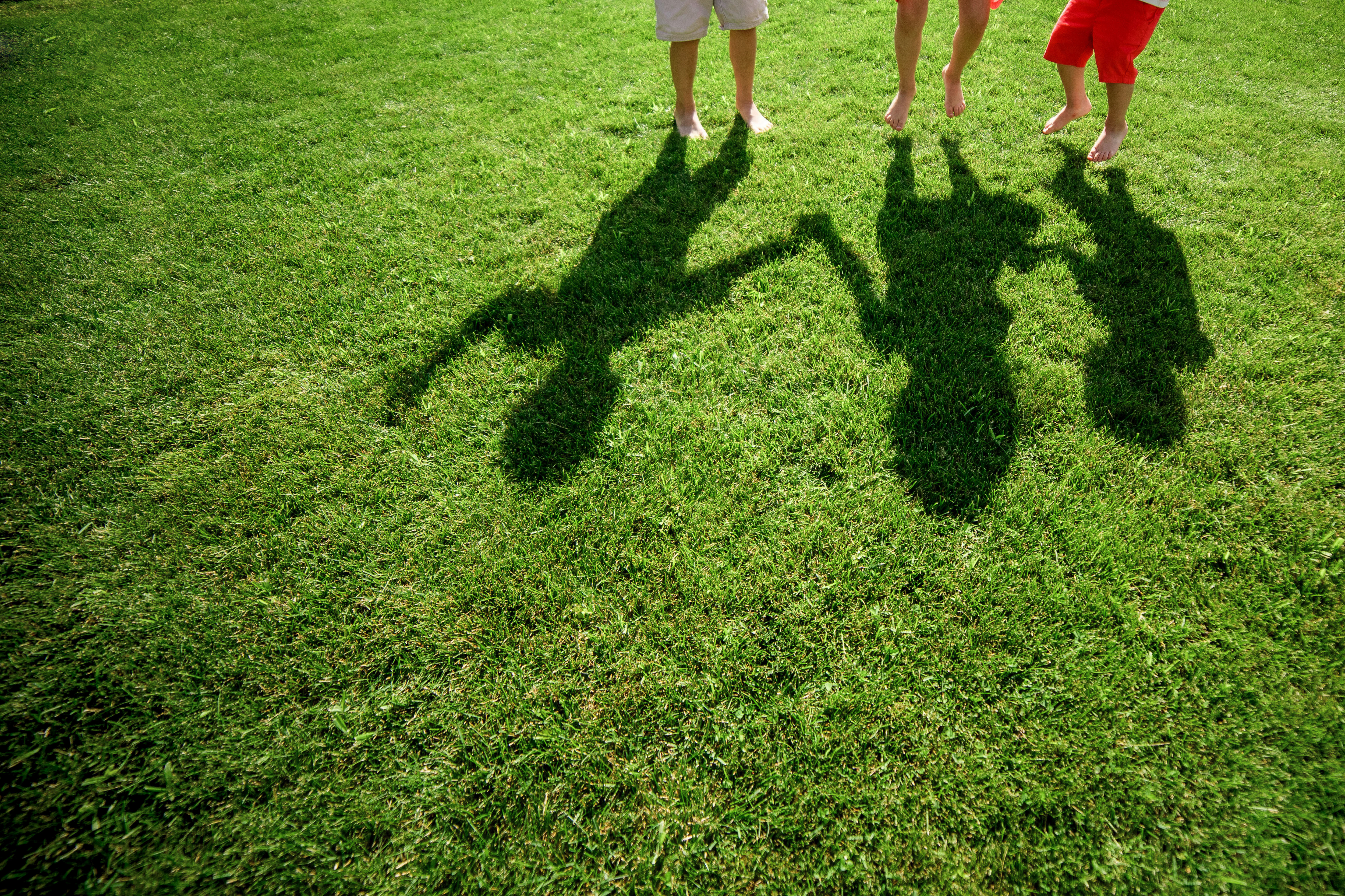 childrens shadows in grass
